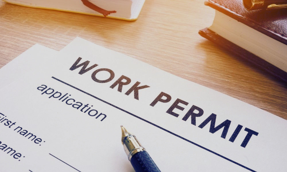 Professional Worker Architecture Context